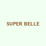 grossistes-super-bellehtml Logo